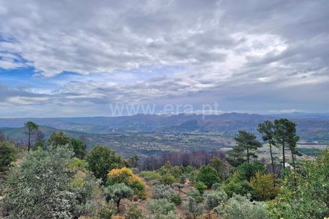 Helårsgrund i Guarda, Guarda, Guarda - € 27.000 | Ref: 046240286 - foto 4