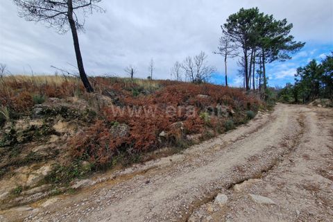 Helårsgrund i Guarda, Guarda, Guarda - € 27.000 | Ref: 046240286 - foto 5