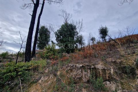 Helårsgrund i Guarda, Guarda, Guarda - € 27.000 | Ref: 046240286 - foto 6
