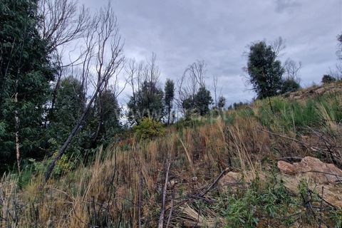 Helårsgrund i Guarda, Guarda, Guarda - € 27.000 | Ref: 046240286 - foto 7