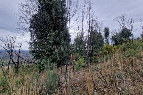Helårsgrund i Guarda, Guarda, Guarda - € 27.000 | Ref: 046240286 - foto 8