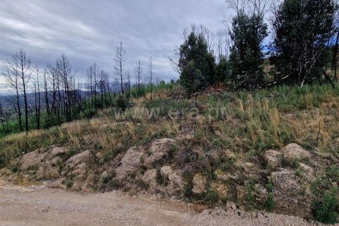 Helårsgrund i Guarda, Guarda, Guarda - € 27.000 | Ref: 046240286 - foto 9