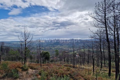 Helårsgrund i Guarda, Guarda, Guarda - € 27.000 | Ref: 046240286 - foto 10