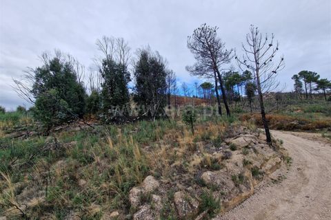 Helårsgrund i Guarda, Guarda, Guarda - € 27.000 | Ref: 046240286 - foto 12