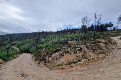 Helårsgrund i Guarda, Guarda, Guarda - € 27.000 | Ref: 046240286 - foto 13