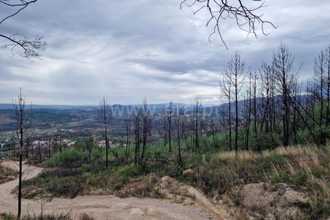 Helårsgrund i Guarda, Guarda, Guarda - € 27.000 | Ref: 046240286 - foto 1