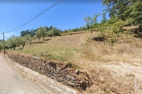 Terra a Penela, Coimbra, Penela - € 18.000 | Ref: 132888 - foto 2