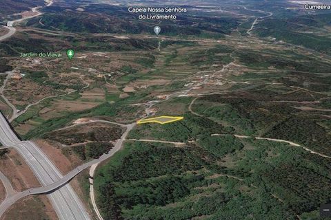 Terra a Penela, Coimbra, Penela - € 18.000 | Ref: 132888 - foto 7