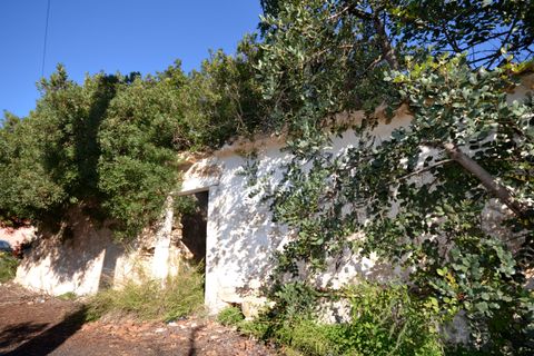Helårsgrund i Loule, Faro, Loule - € 295.000 | Ref: 1009-2363 - foto 1
