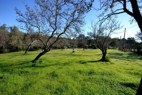 Helårsgrund i Loule, Faro, Loule - € 295.000 | Ref: 1009-2363 - foto 2
