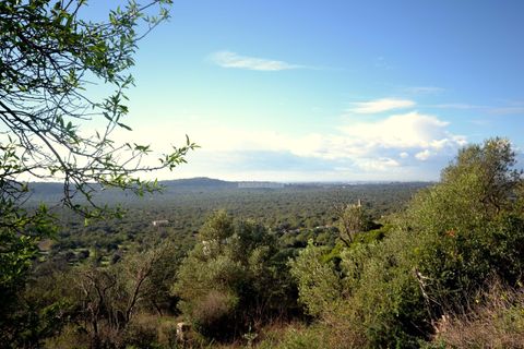 Helårsgrund i Loule, Faro, Loule - € 295.000 | Ref: 1009-2363 - foto 4
