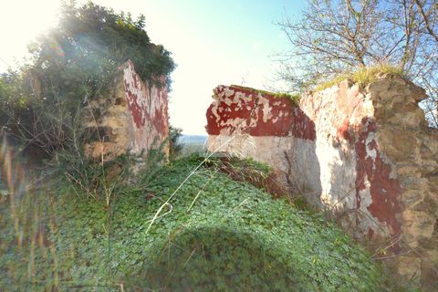 Helårsgrund i Loule, Faro, Loule - € 295.000 | Ref: 1009-2363 - foto 6