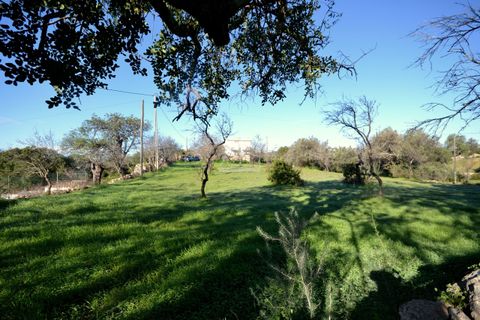 Helårsgrund i Loule, Faro, Loule - € 295.000 | Ref: 1009-2363 - foto 8