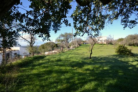 Helårsgrund i Loule, Faro, Loule - € 295.000 | Ref: 1009-2363 - foto 9