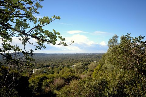Helårsgrund i Loule, Faro, Loule - € 295.000 | Ref: 1009-2363 - foto 11
