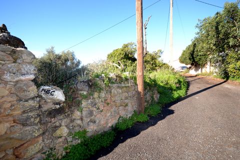 Helårsgrund i Loule, Faro, Loule - € 295.000 | Ref: 1009-2363 - foto 12