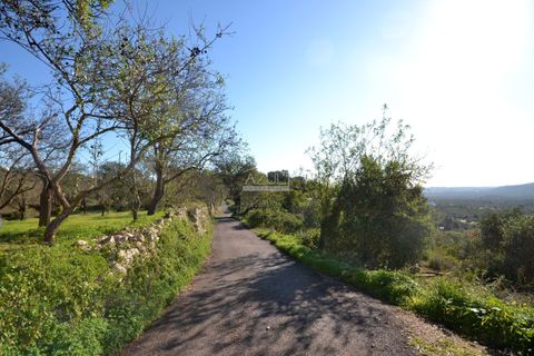 Helårsgrund i Loule, Faro, Loule - € 295.000 | Ref: 1009-2363 - foto 20