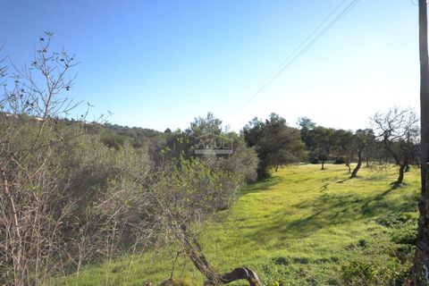 Helårsgrund i Loule, Faro, Loule - € 295.000 | Ref: 1009-2363 - foto 22