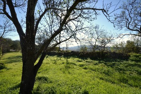 Helårsgrund i Loule, Faro, Loule - € 295.000 | Ref: 1009-2363 - foto 24
