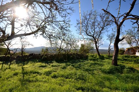 Helårsgrund i Loule, Faro, Loule - € 295.000 | Ref: 1009-2363 - foto 25