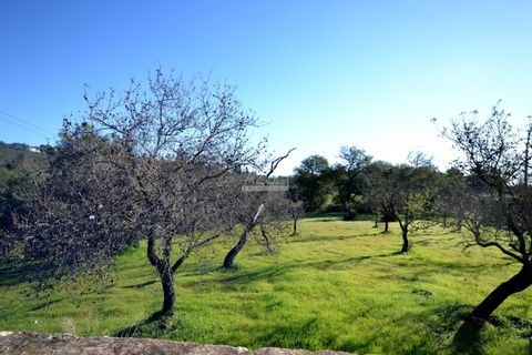 Helårsgrund i Loule, Faro, Loule - € 295.000 | Ref: 1009-2363 - foto 26