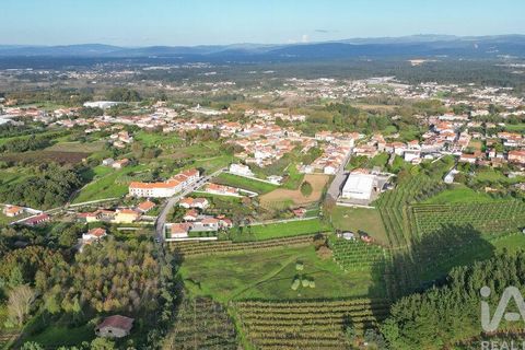 Terra a Anadia, Aveiro, Anadia - € 80.000 | Ref: 132716 - foto 11