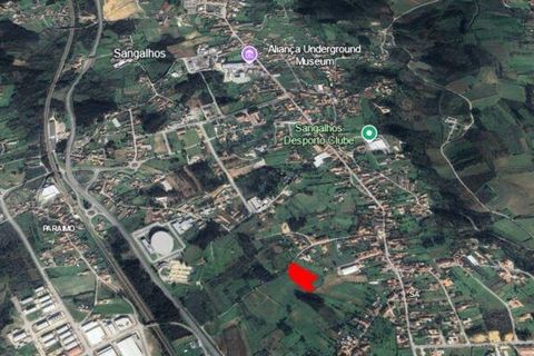 Terra a Anadia, Aveiro, Anadia - € 80.000 | Ref: 132716 - foto 12