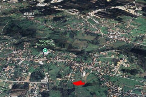 Terra a Anadia, Aveiro, Anadia - € 80.000 | Ref: 132716 - foto 13