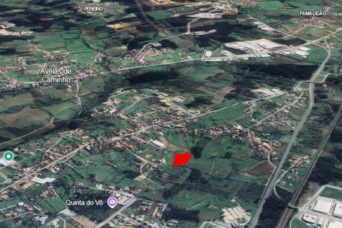 Terra a Anadia, Aveiro, Anadia - € 80.000 | Ref: 132716 - foto 14