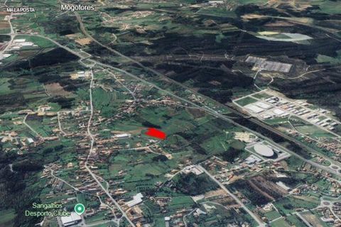 Terra a Anadia, Aveiro, Anadia - € 80.000 | Ref: 132716 - foto 15