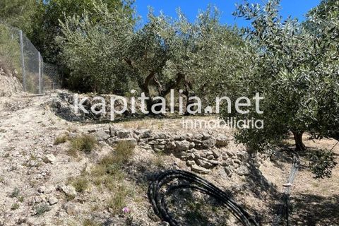 Landejendom i Xativa, Valencia, Xativa - € 140.000 | Ref: 08317 - foto 14