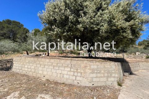 Landejendom i Xativa, Valencia, Xativa - € 140.000 | Ref: 08317 - foto 12