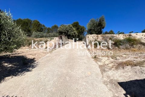 Landejendom i Xativa, Valencia, Xativa - € 140.000 | Ref: 08317 - foto 26