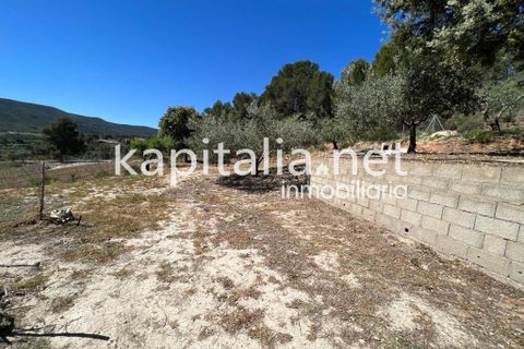 Landejendom i Xativa, Valencia, Xativa - € 140.000 | Ref: 08317 - foto 28