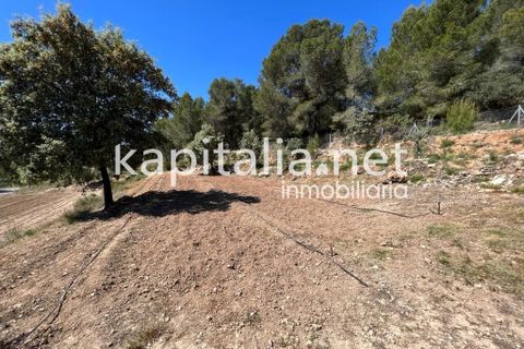 Landejendom i Xativa, Valencia, Xativa - € 140.000 | Ref: 08317 - foto 18