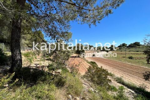 Landejendom i Xativa, Valencia, Xativa - € 140.000 | Ref: 08317 - foto 20