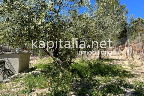 Landejendom i Xativa, Valencia, Xativa - € 140.000 | Ref: 08317 - foto 16