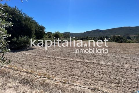 Landejendom i Xativa, Valencia, Xativa - € 140.000 | Ref: 08317 - foto 27