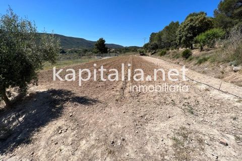 Landejendom i Xativa, Valencia, Xativa - € 140.000 | Ref: 08317 - foto 3