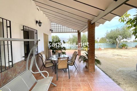 Landejendom i Ontinyent, Valencia, Ontinyent - € 150.000 | Ref: 09538 - foto 18