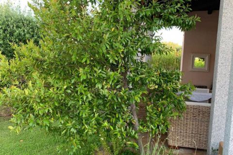Villa i San Teodoro, Sassari, San Teodoro - € 448.000 | Ref: 569 - foto 4