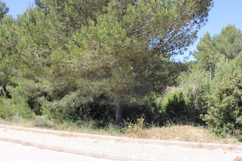 Helårsgrund i Budens, Faro, Budens - € 265.000 | Ref: PAR_256 - foto 3