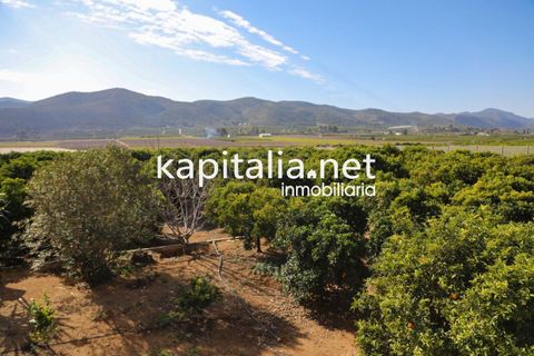Villa a Canals, Valencia, Canals - € 599.000 | Ref: 07361 - foto 34