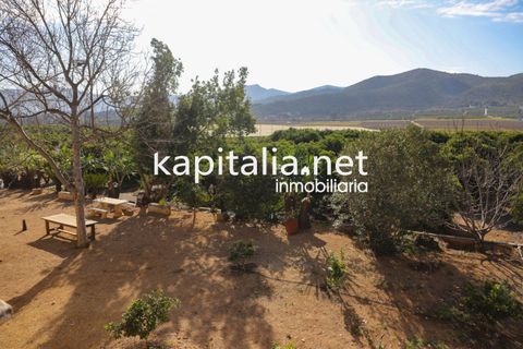 Villa a Canals, Valencia, Canals - € 599.000 | Ref: 07361 - foto 35