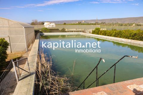 Villa a Canals, Valencia, Canals - € 599.000 | Ref: 07361 - foto 32