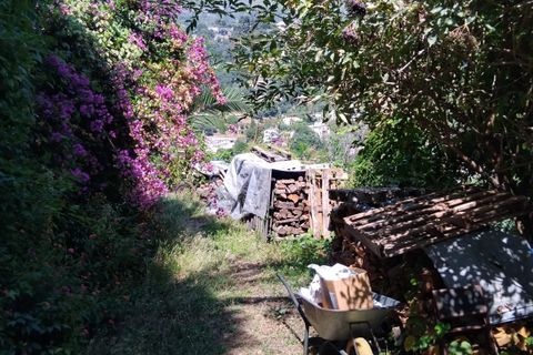 Landejendom i Menton, Alpes-Maritimes, Menton - € 5.000.000 | Ref: 85494991 - foto 8