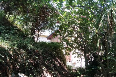 Landejendom i Menton, Alpes-Maritimes, Menton - € 5.000.000 | Ref: 85494991 - foto 9