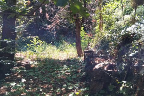 Landejendom i Menton, Alpes-Maritimes, Menton - € 5.000.000 | Ref: 85494991 - foto 11