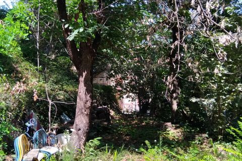 Landejendom i Menton, Alpes-Maritimes, Menton - € 5.000.000 | Ref: 85494991 - foto 12