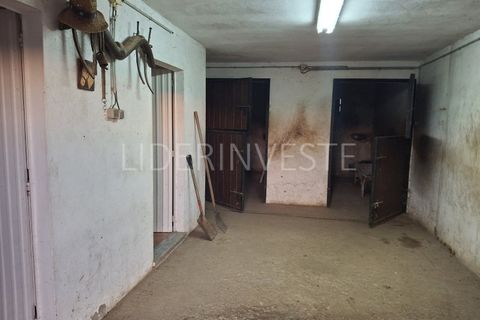 Tomt i Beja, Beja, Beja - € 145 000 | Ref: TER_2036 - foto 4